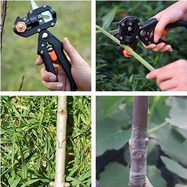 Grafting Tool for Plants and Trees